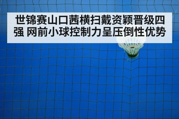 badminton net play