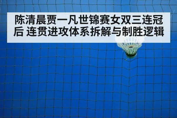 badminton net play