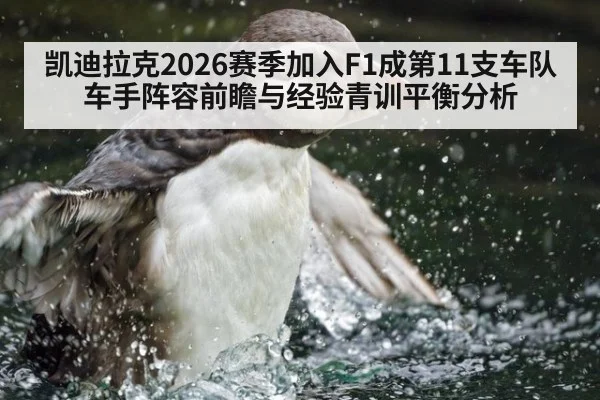 凯迪拉克2026赛季加入F1成第11支车队 车手阵容前瞻与经验青训平衡分析
